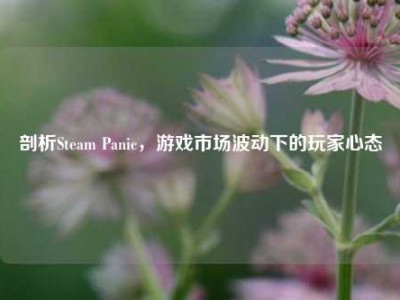 剖析Steam Panic，游戏市场波动下的玩家心态