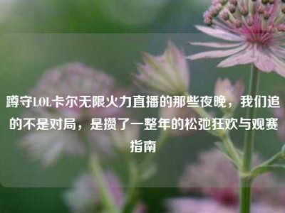 蹲守LOL卡尔无限火力直播的那些夜晚，我们追的不是对局，是攒了一整年的松弛狂欢与观赛指南