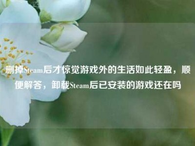 删掉Steam后才惊觉游戏外的生活如此轻盈，顺便解答，卸载Steam后已安装的游戏还在吗