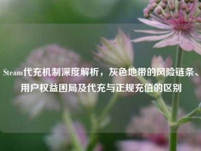 Steam代充机制深度解析，灰色地带的风险链条、用户权益困局及代充与正规充值的区别