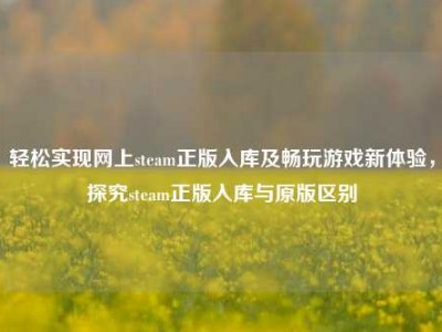 轻松实现网上steam正版入库及畅玩游戏新体验，探究steam正版入库与原版区别