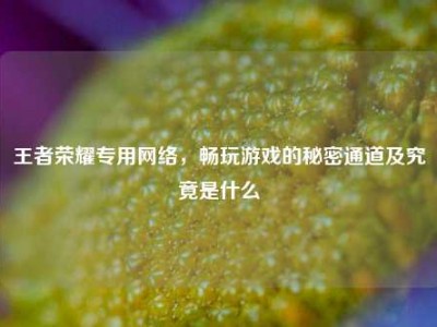 王者荣耀专用网络，畅玩游戏的秘密通道及究竟是什么