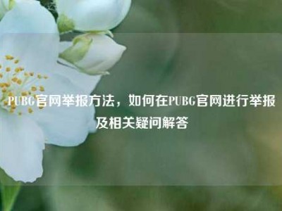 PUBG官网举报方法，如何在PUBG官网进行举报及相关疑问解答