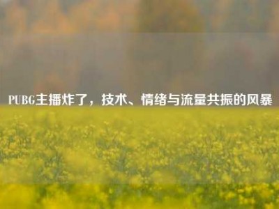 PUBG主播炸了，技术、情绪与流量共振的风暴