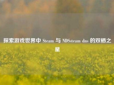 探索游戏世界中 Steam 与 NDSsteam dns 的双栖之星