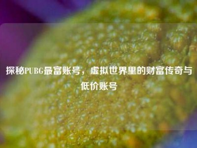 探秘PUBG最富账号，虚拟世界里的财富传奇与低价账号