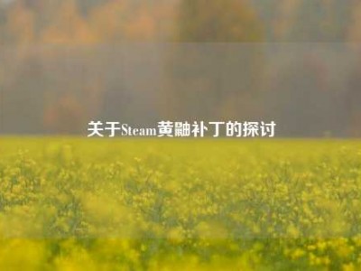 关于Steam黄鼬补丁的探讨