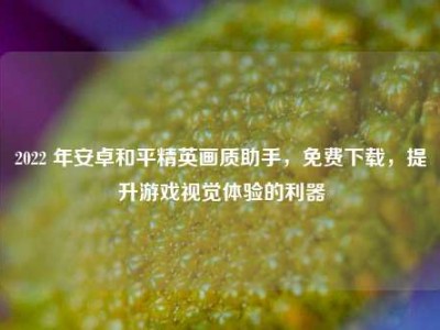 2022 年安卓和平精英画质助手，免费下载，提升游戏视觉体验的利器