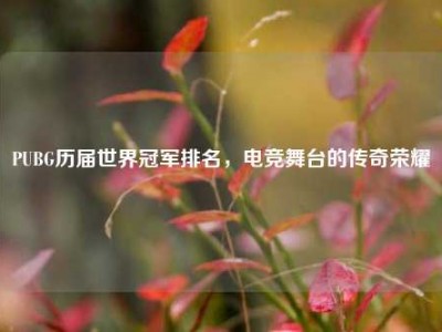 PUBG历届世界冠军排名，电竞舞台的传奇荣耀