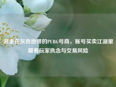 游走在灰色地带的PUBG号商，账号买卖江湖里藏着玩家执念与交易风险