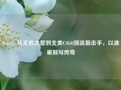 Osee，从无名之辈到北美CSGO顶流狙击手，以准星刻写传奇