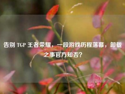 告别 TGP 王者荣耀，一段游戏历程落幕，卸载之事官方知否？