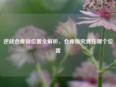 逆战仓库锁位置全解析，仓库锁究竟在哪个位置