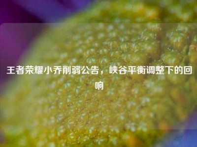 王者荣耀小乔削弱公告，峡谷平衡调整下的回响