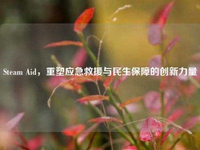 Steam Aid，重塑应急救援与民生保障的创新力量