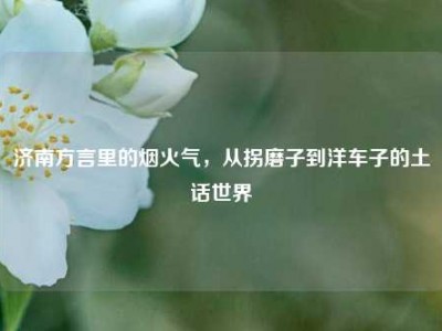 济南方言里的烟火气，从拐磨子到洋车子的土话世界