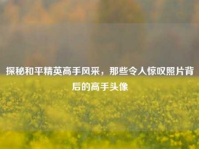 探秘和平精英高手风采，那些令人惊叹照片背后的高手头像