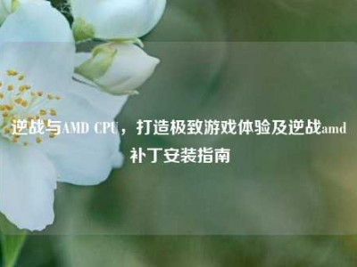 逆战与AMD CPU，打造极致游戏体验及逆战amd补丁安装指南