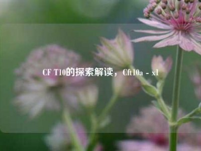 CF T10的探索解读，Cft10a - x1