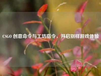 CSGO 创意命令与工坊指令，开启别样游戏体验