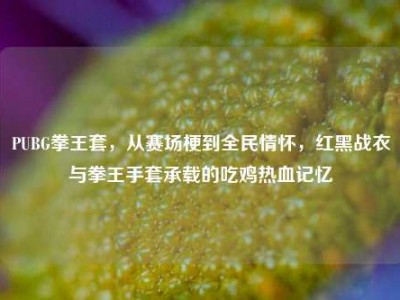 PUBG拳王套，从赛场梗到全民情怀，红黑战衣与拳王手套承载的吃鸡热血记忆