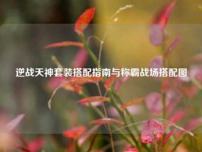 逆战天神套装搭配指南与称霸战场搭配图