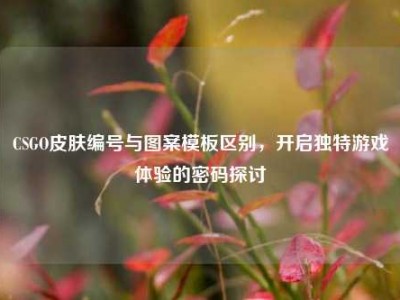 CSGO皮肤编号与图案模板区别，开启独特游戏体验的密码探讨