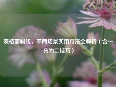 表格画斜线，不同场景实用方法全解析（含一分为二技巧）