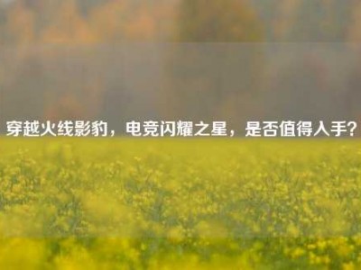 穿越火线影豹，电竞闪耀之星，是否值得入手？