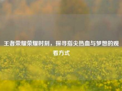 王者荣耀荣耀时刻，探寻指尖热血与梦想的观看方式