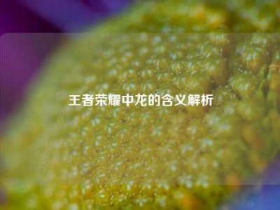 王者荣耀中龙的含义解析