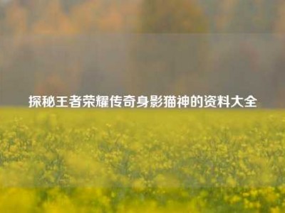 探秘王者荣耀传奇身影猫神的资料大全