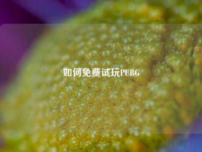 如何免费试玩PUBG