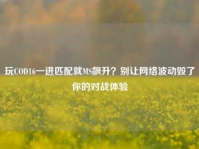 玩COD16一进匹配就MS飙升？别让网络波动毁了你的对战体验