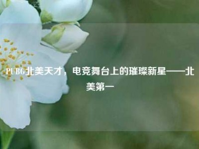 PUBG北美天才，电竞舞台上的璀璨新星——北美第一