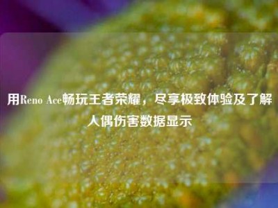 用Reno Ace畅玩王者荣耀，尽享极致体验及了解人偶伤害数据显示