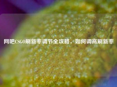 网吧CSGO刷新率调节全攻略，如何调高刷新率