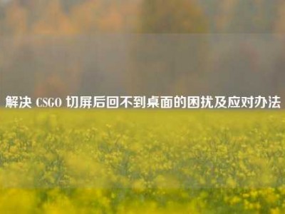 解决 CSGO 切屏后回不到桌面的困扰及应对办法