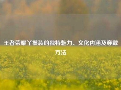 王者荣耀丫鬟装的独特魅力、文化内涵及穿戴方法