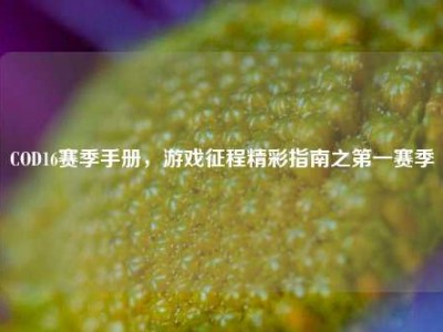 COD16赛季手册，游戏征程精彩指南之第一赛季