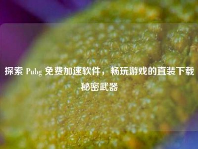 探索 Pubg 免费加速软件，畅玩游戏的直装下载秘密武器