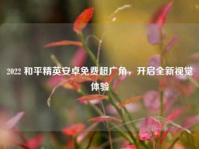 2022 和平精英安卓免费超广角，开启全新视觉体验