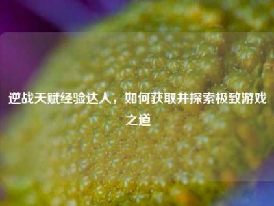 逆战天赋经验达人，如何获取并探索极致游戏之道