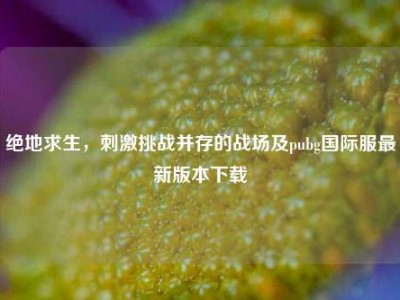 绝地求生，刺激挑战并存的战场及pubg国际服最新版本下载