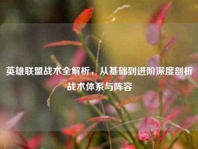 英雄联盟战术全解析，从基础到进阶深度剖析战术体系与阵容