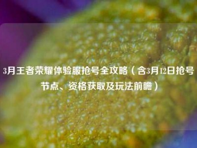 3月王者荣耀体验服抢号全攻略（含3月12日抢号节点、资格获取及玩法前瞻）