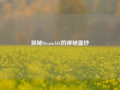 探秘Steam161的神秘面纱