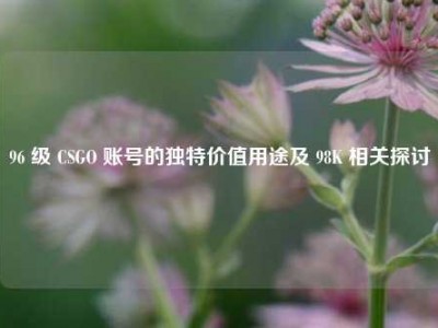 96 级 CSGO 账号的独特价值用途及 98K 相关探讨