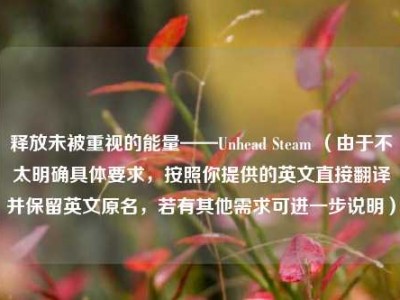 释放未被重视的能量——Unhead Steam （由于不太明确具体要求，按照你提供的英文直接翻译并保留英文原名，若有其他需求可进一步说明）