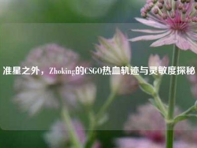 准星之外，Zhoking的CSGO热血轨迹与灵敏度探秘